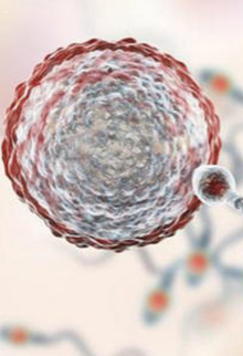E套餐 助孕包成功65万